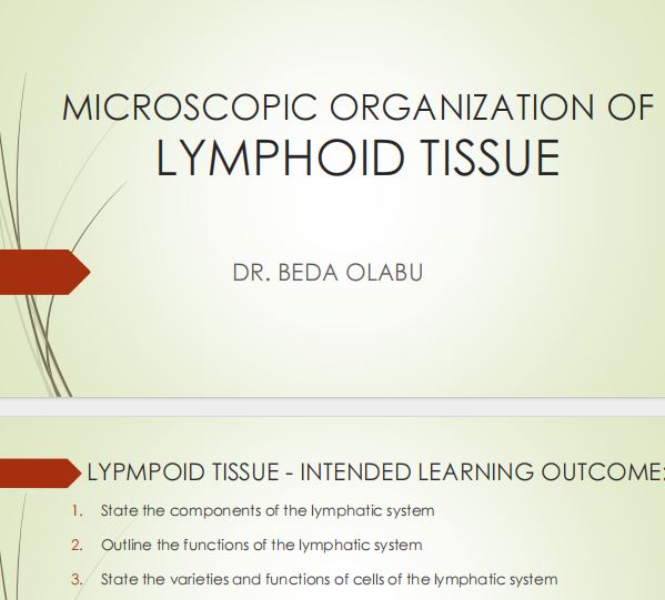 No preview available